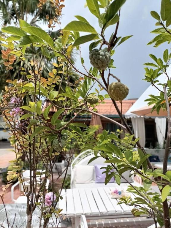 Palm Sweet Hotel Prachuap Khiri Khan Ngoại thất bức ảnh