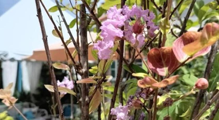 Palm Sweet Hotel Prachuap Khiri Khan Ngoại thất bức ảnh