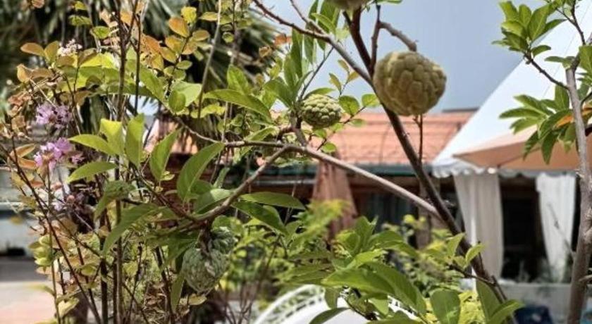 Palm Sweet Hotel Prachuap Khiri Khan Ngoại thất bức ảnh